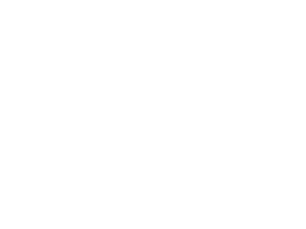 IMW Logo in weiß